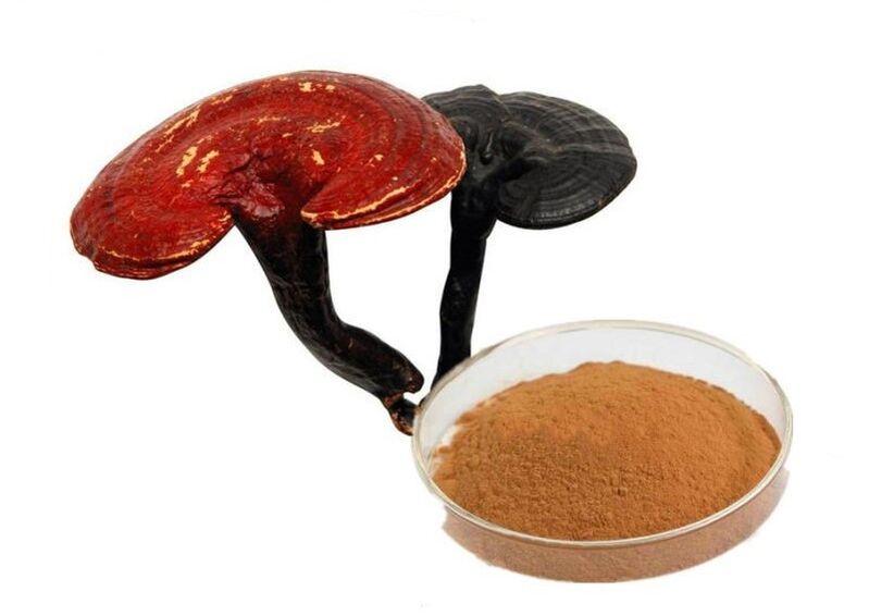 Ganoderma lucidum extract capsule Prostamin Forte