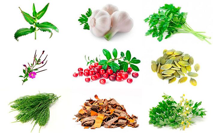 Folk remedies for prostatitis