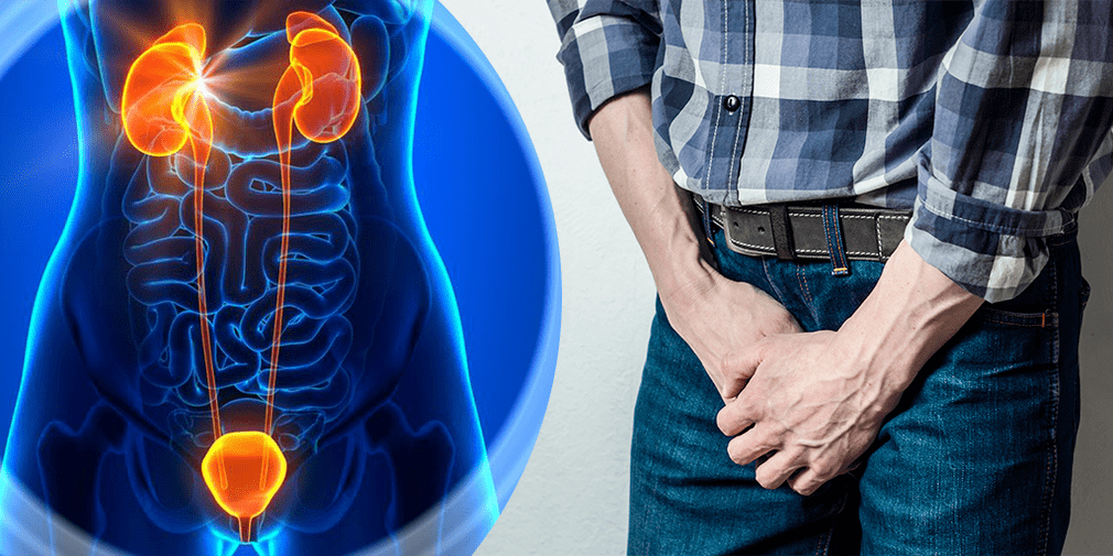 Prostate inflammation and prostatitis pain